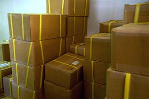 ペットの健康を守る最適な療法食を通販で手軽に購入する方法とは？